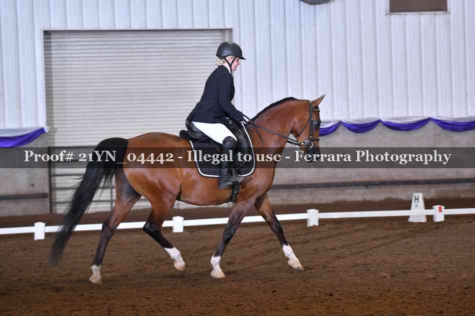 Proof Number 21YN_04442
