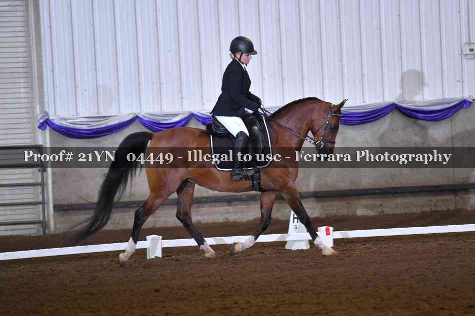 Proof Number 21YN_04449