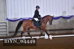 21YN_04449 thumbnail