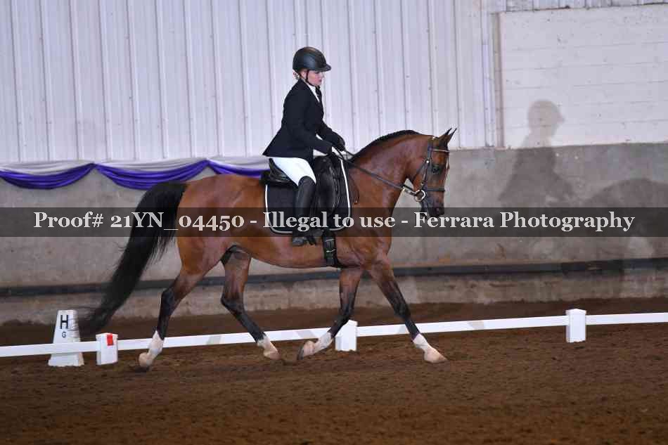 Proof Number 21YN_04450