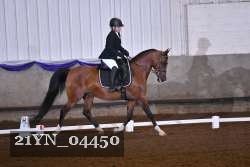 21YN_04450 thumbnail