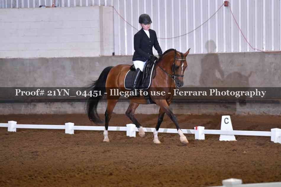 Proof Number 21YN_04451