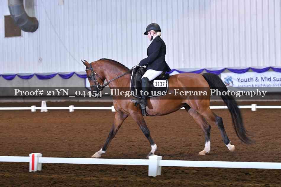 Proof Number 21YN_04454