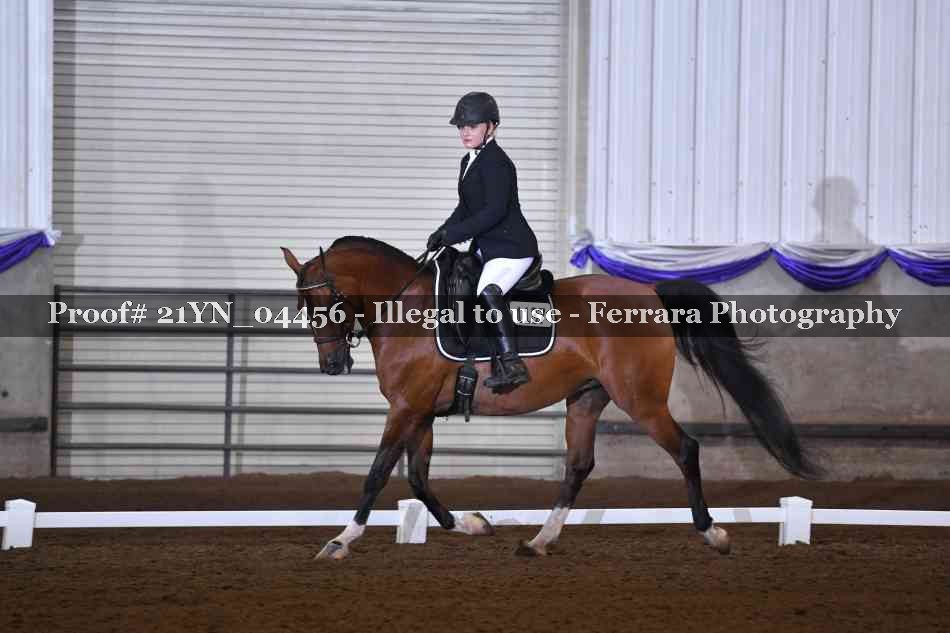 Proof Number 21YN_04456