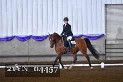 21YN_04457 thumbnail