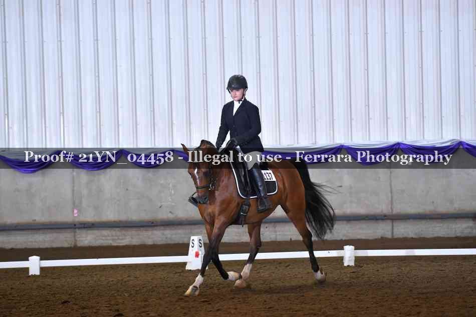 Proof Number 21YN_04458