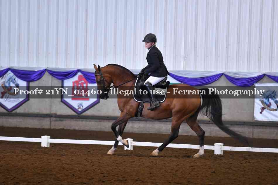 Proof Number 21YN_04460