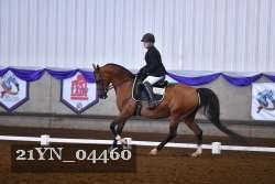 21YN_04460 thumbnail