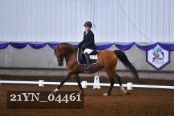21YN_04461 thumbnail