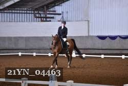 21YN_04463 thumbnail