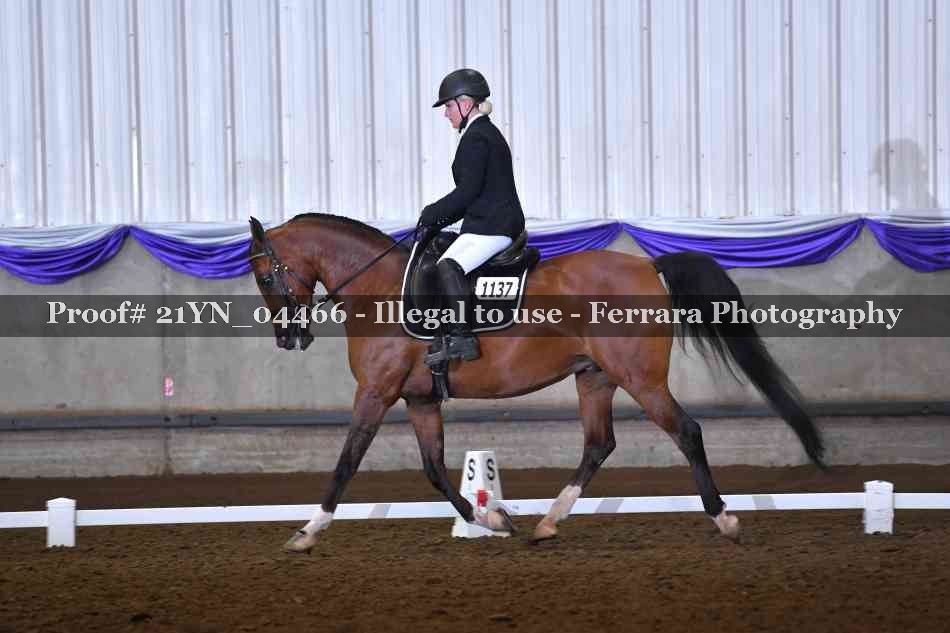 Proof Number 21YN_04466
