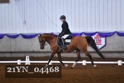 21YN_04468 thumbnail