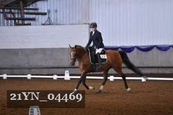 21YN_04469 thumbnail