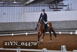 21YN_04470 thumbnail