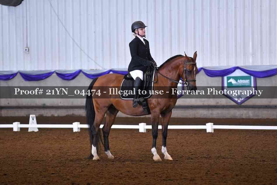 Proof Number 21YN_04474
