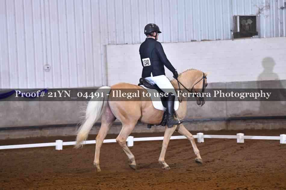 Proof Number 21YN_04491
