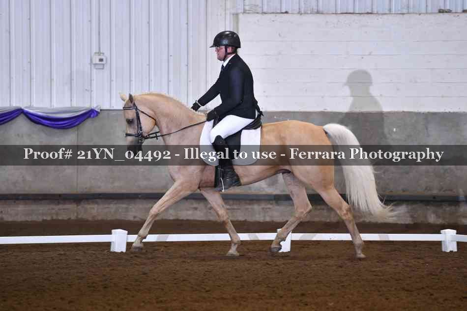 Proof Number 21YN_04492