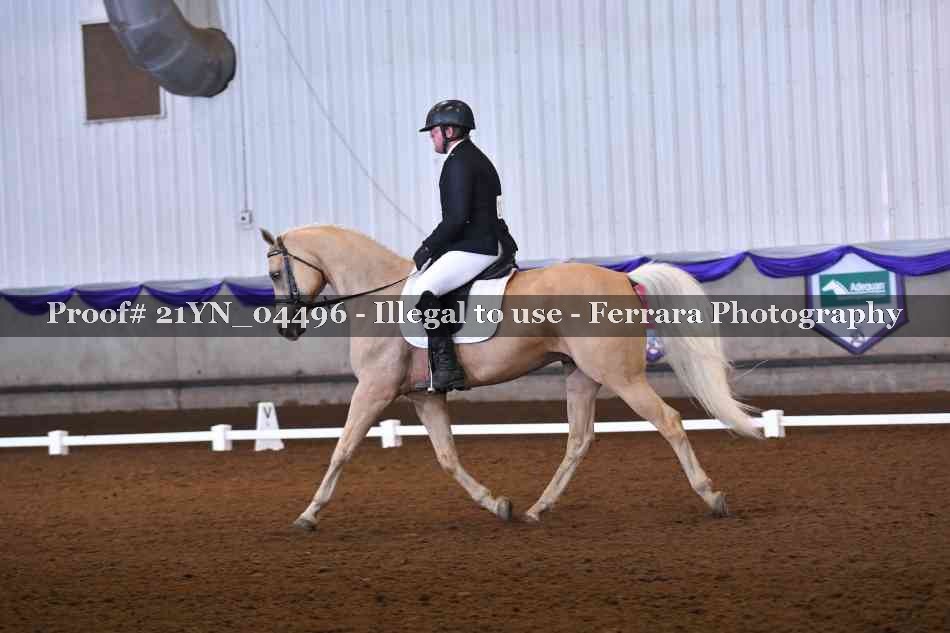Proof Number 21YN_04496