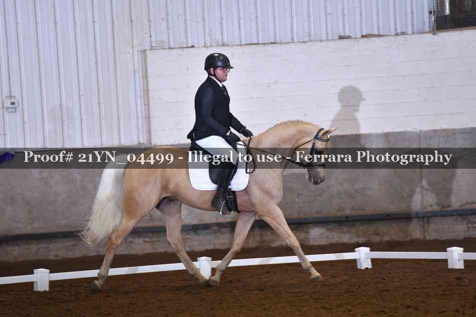 Proof Number 21YN_04499