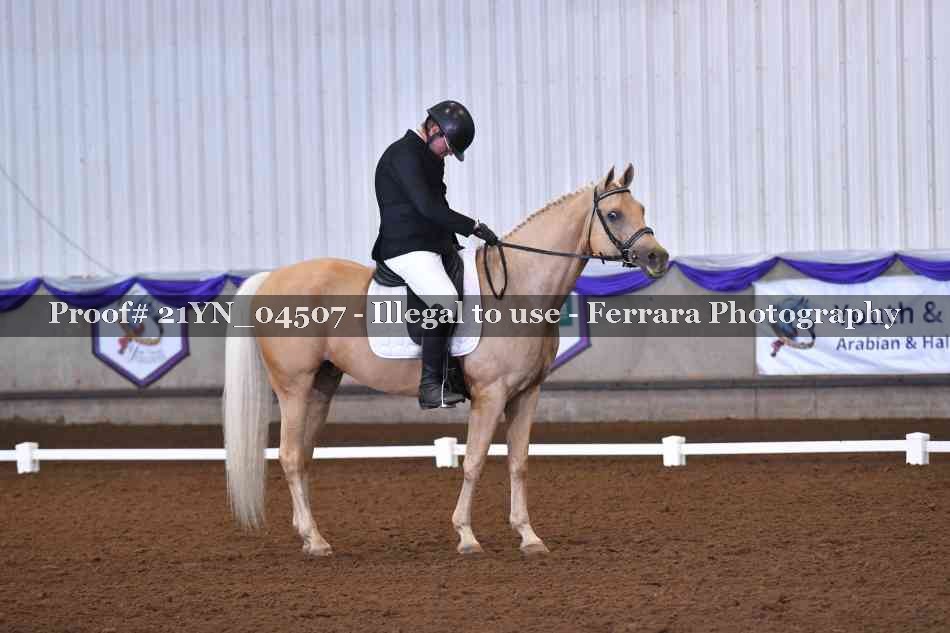 Proof Number 21YN_04507