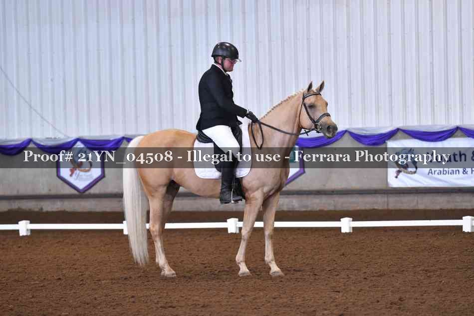 Proof Number 21YN_04508