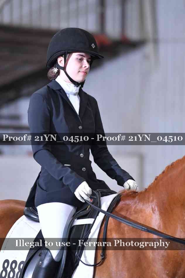 Proof Number 21YN_04510