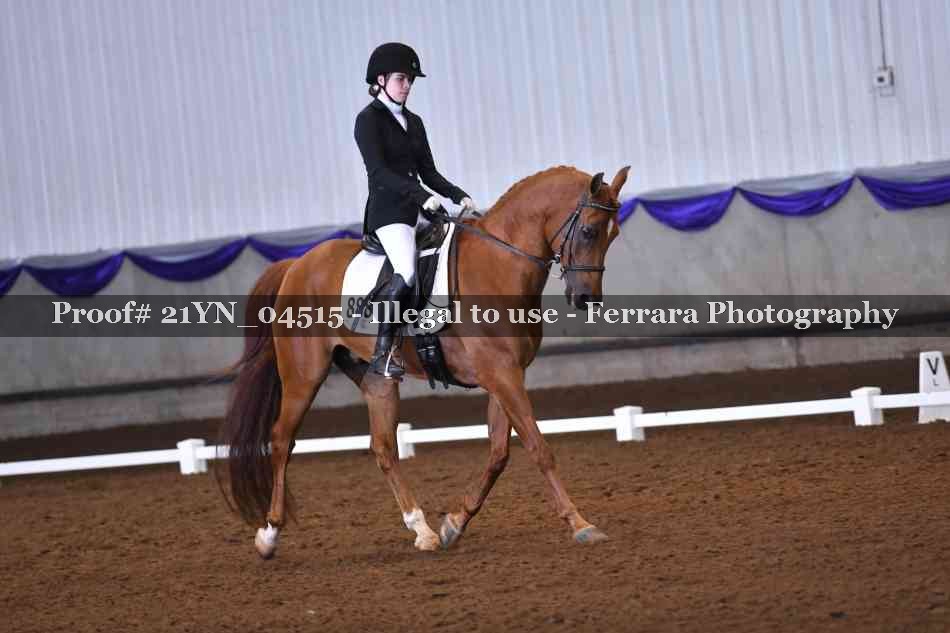 Proof Number 21YN_04515