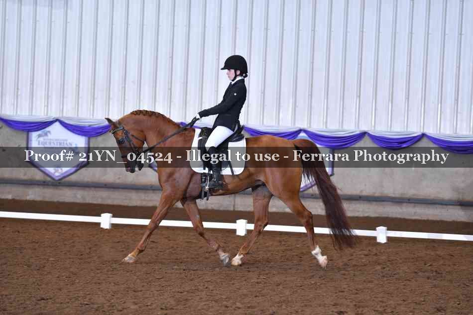 Proof Number 21YN_04524