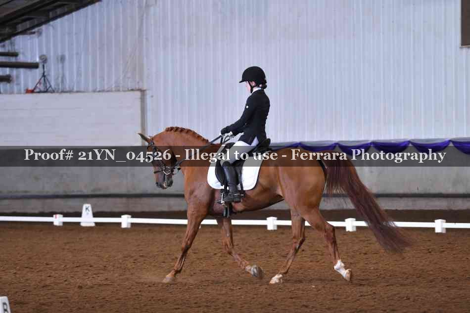 Proof Number 21YN_04526