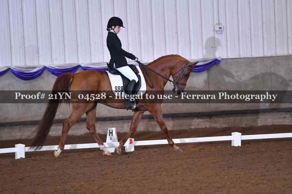 Proof Number 21YN_04528
