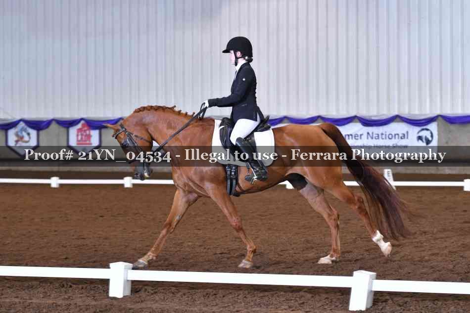 Proof Number 21YN_04534