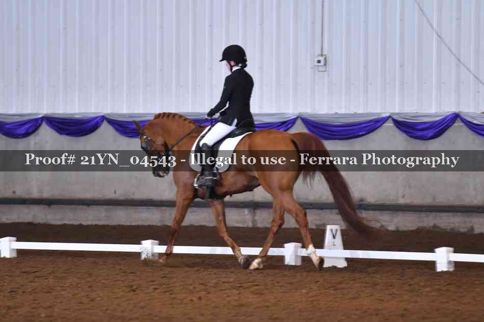 Proof Number 21YN_04543