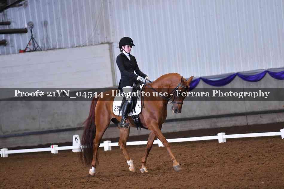 Proof Number 21YN_04544