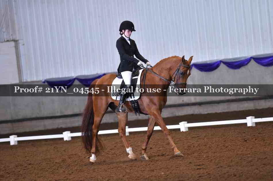 Proof Number 21YN_04545