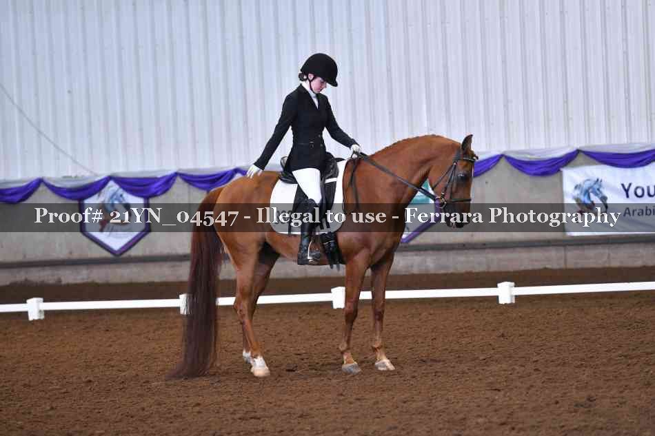 Proof Number 21YN_04547