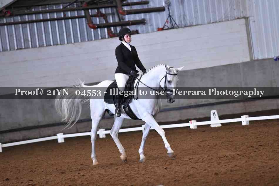 Proof Number 21YN_04553