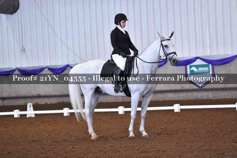 Proof Number 21YN_04555