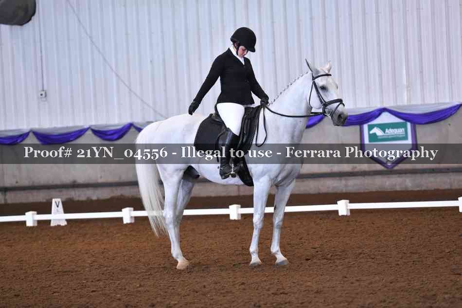 Proof Number 21YN_04556