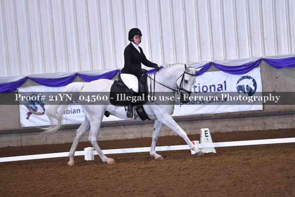 Proof Number 21YN_04560