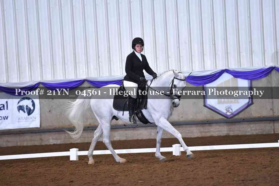 Proof Number 21YN_04561