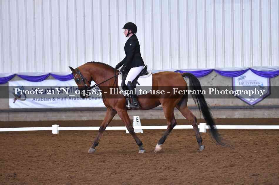 Proof Number 21YN_04585