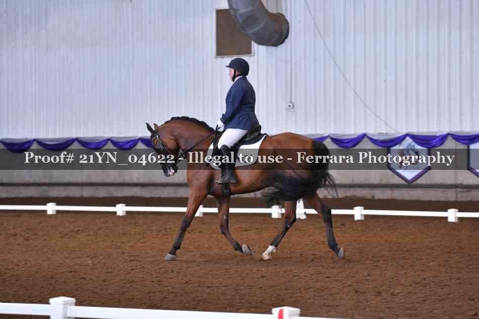 Proof Number 21YN_04622