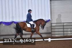 21YN_04623 thumbnail