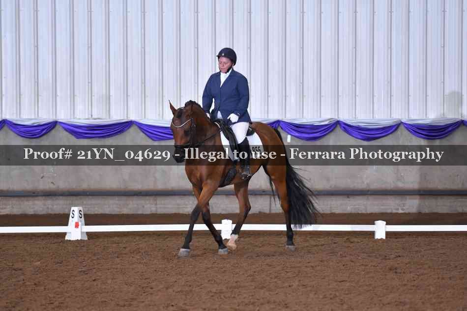 Proof Number 21YN_04629