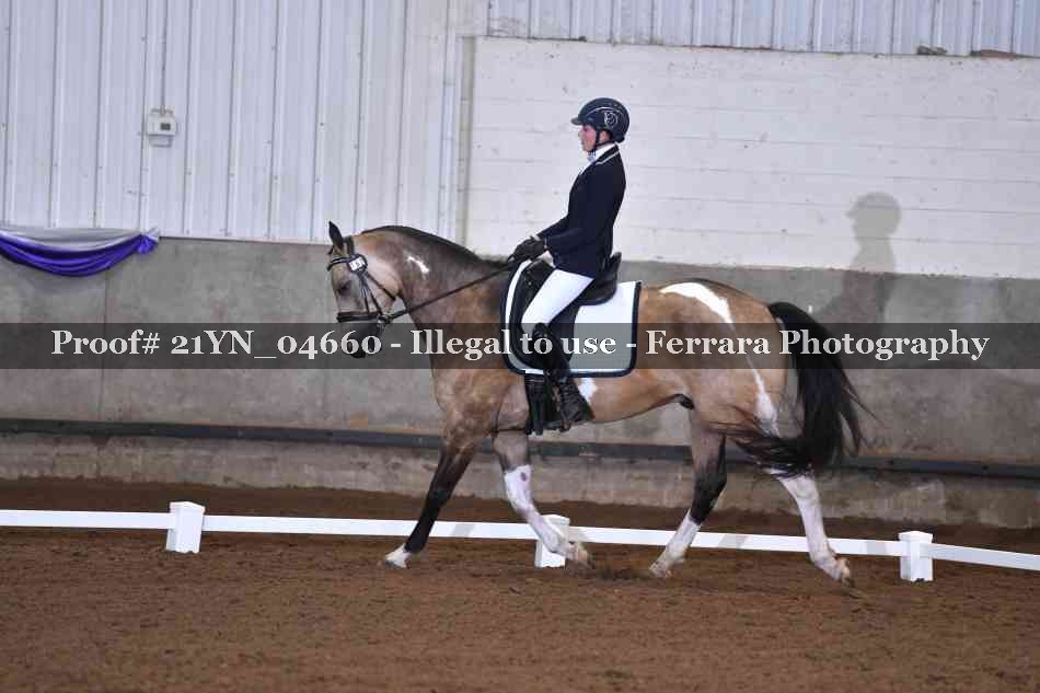 Proof Number 21YN_04660