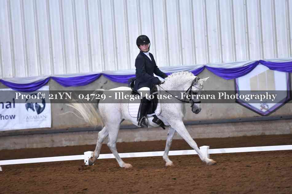 Proof Number 21YN_04729