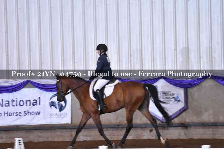 Proof Number 21YN_04750