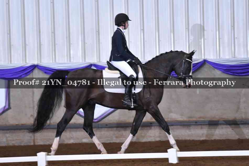 Proof Number 21YN_04781