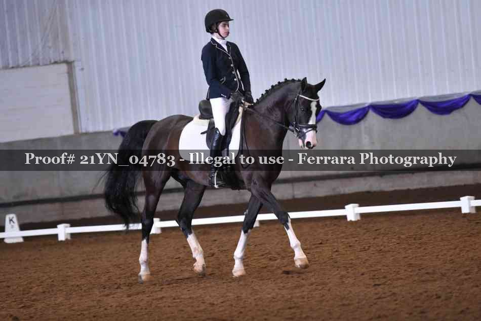 Proof Number 21YN_04783