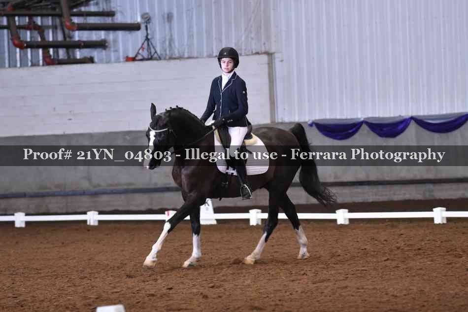 Proof Number 21YN_04803